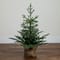 3ft. Pre-Lit Artificial Christmas Tree in Jute Wire Planter with 30 Warm White LED Lights